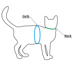 Cat Harness Fitting and Sizing Help LupinePet