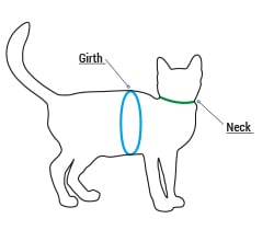 H-Style Cat Harness | Lupine pet Original Designs