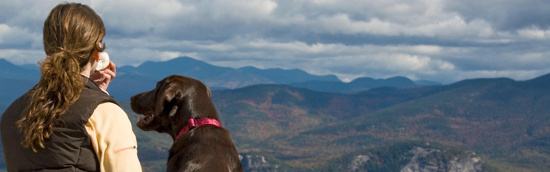 eCollars Replacement Collar Strap Lupine Pet